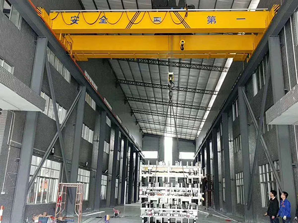 Double beam bridge crane