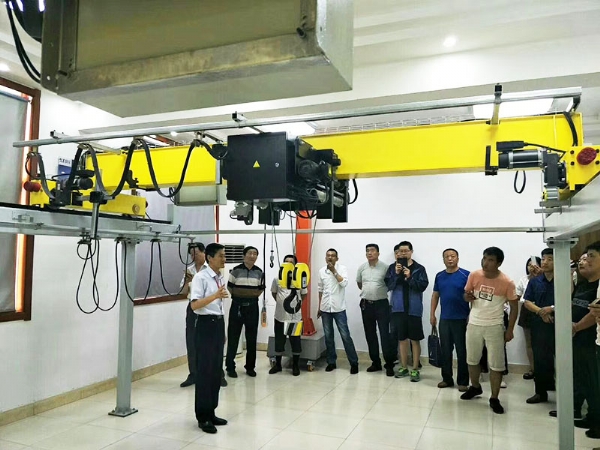 european electric hoist
